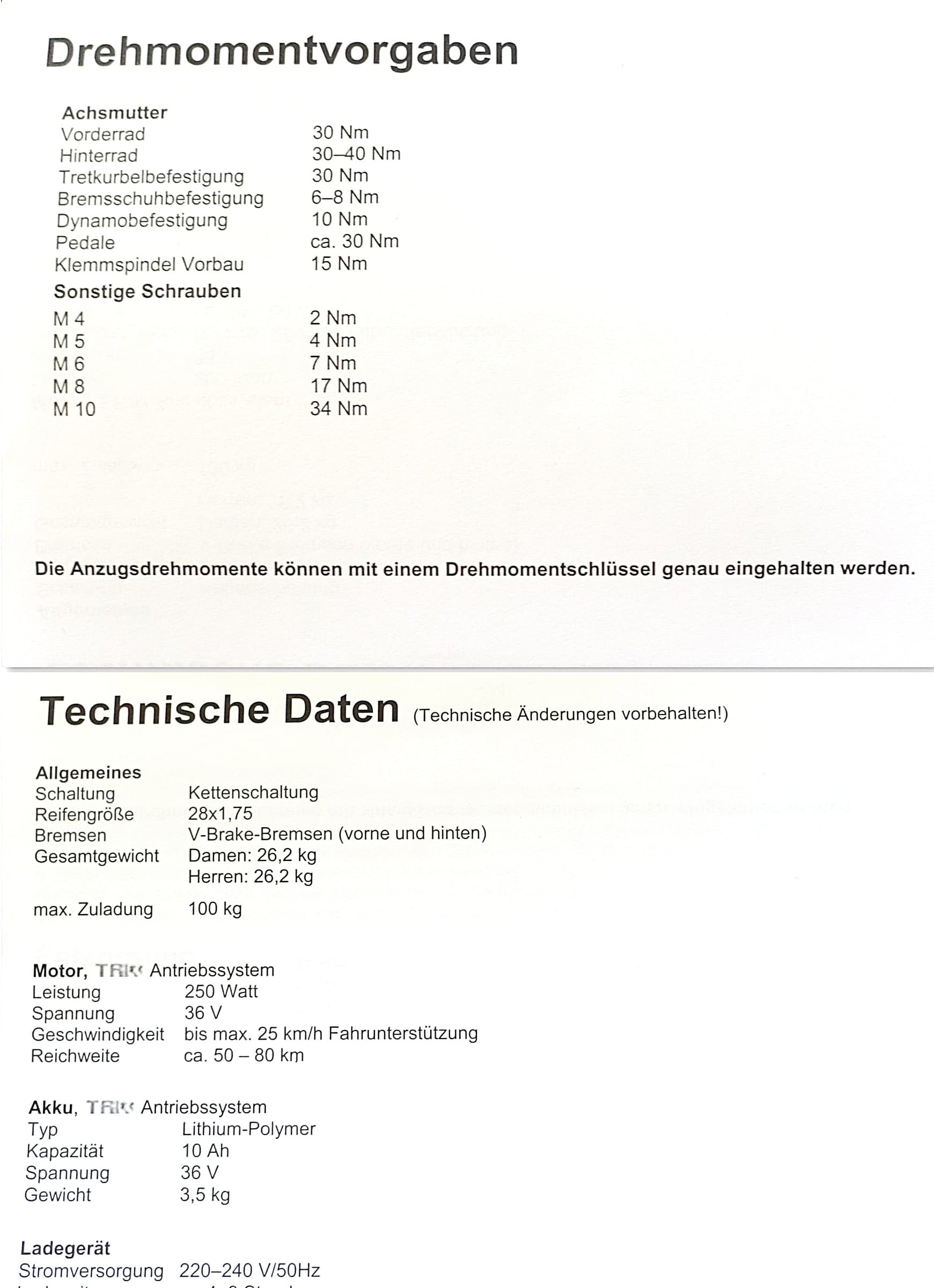 E-Bike Racer Premium Klassiker Schönheit
