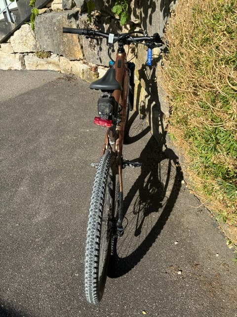 E-Bike Giant Velo