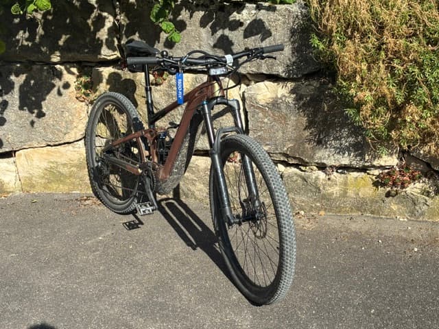 E-Bike Giant Velo