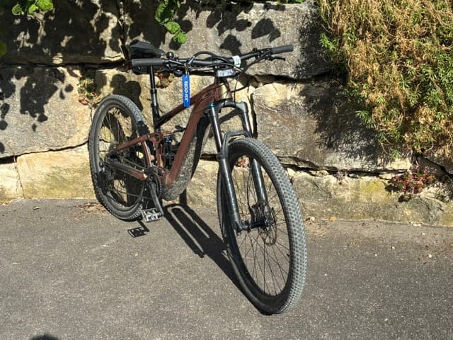 E-Bike Giant Velo