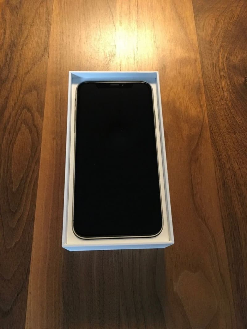 Iphone X mit 256 GB (Neuwertig)