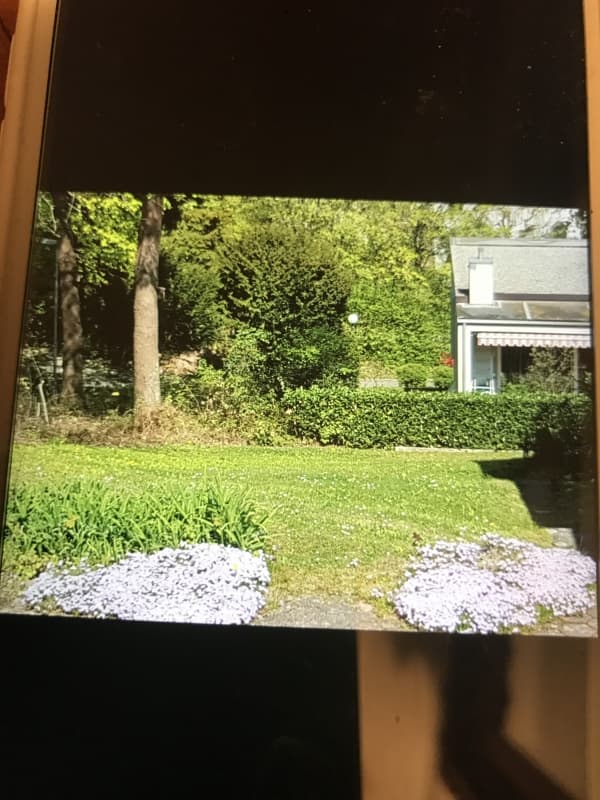 Einfamilienhaus