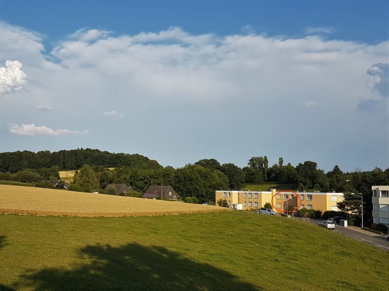 5.5 Zimmerwohnung in Lyss in ruhiger sonniger Lage viel Aussicht