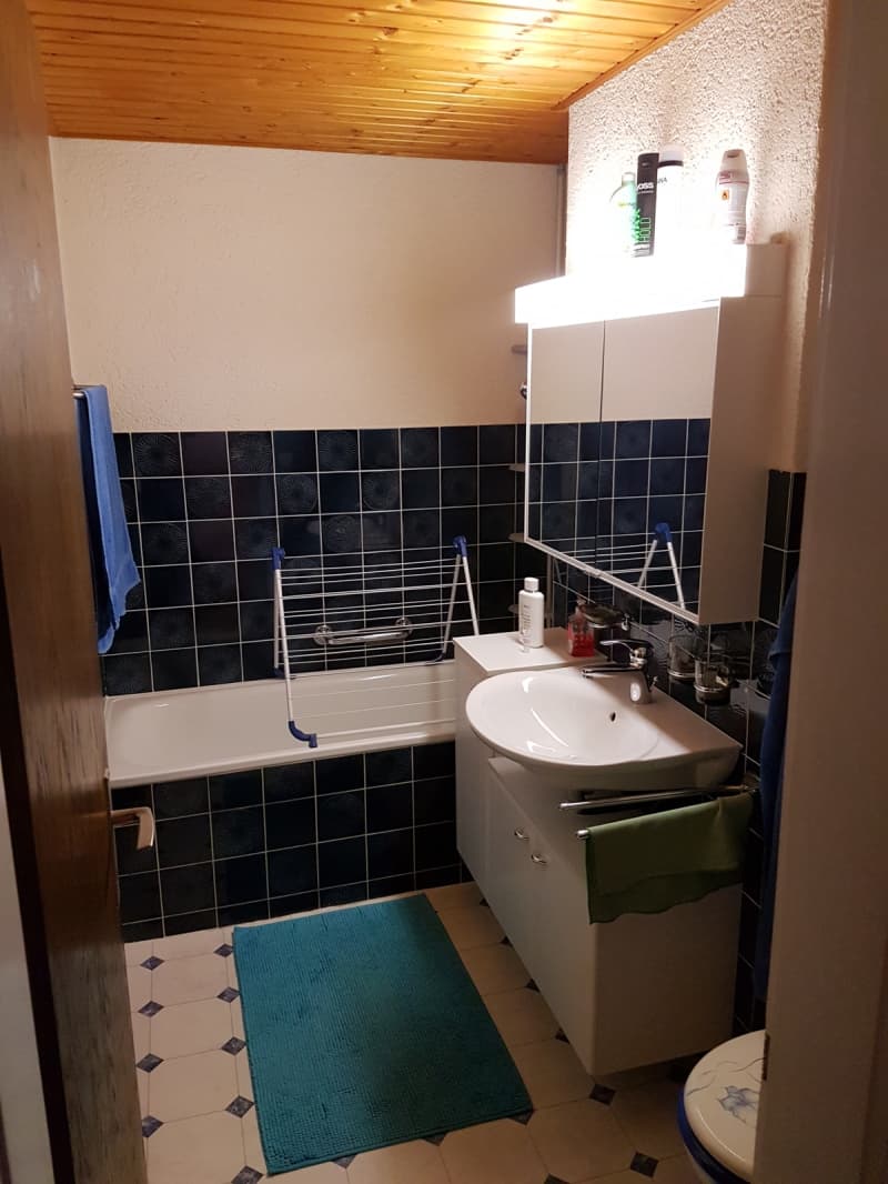 5.5 Zimmerwohnung in Lyss in ruhiger sonniger Lage viel Aussicht