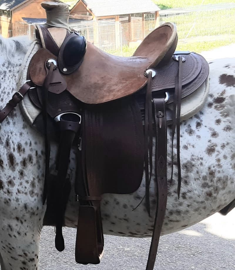 Wade Westernsattel