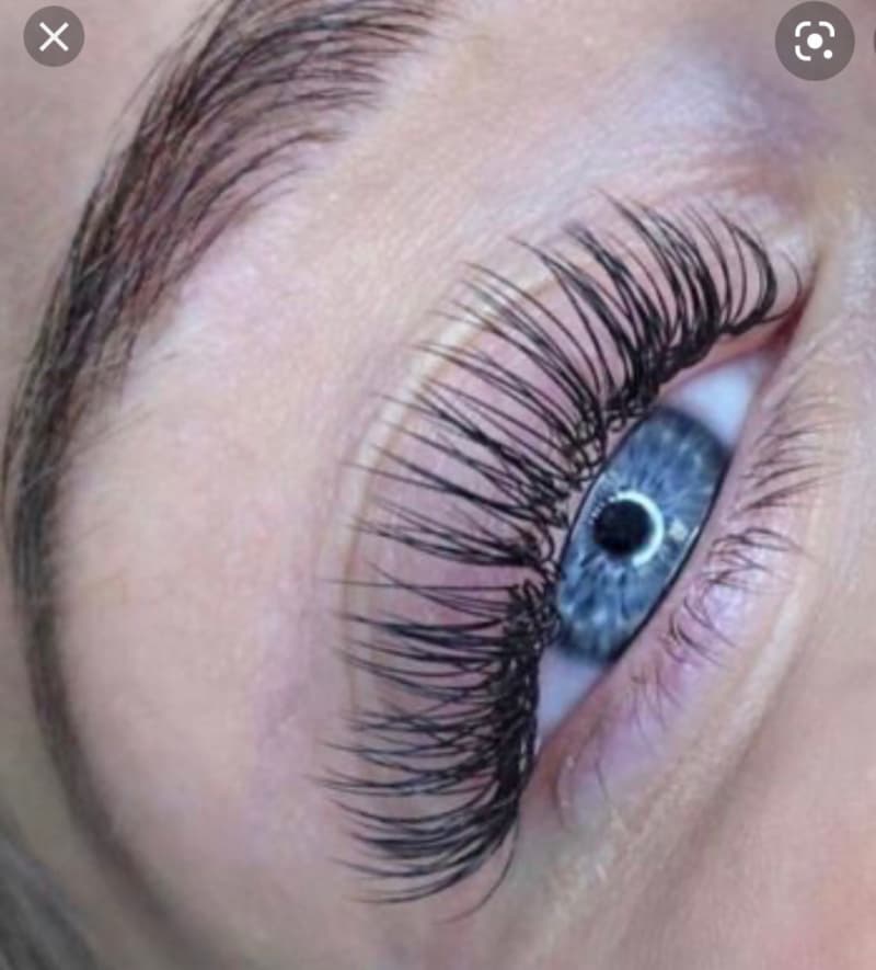 Wimpernmodelle