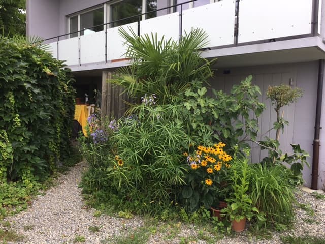 Möbliertes Einfamilienhaus