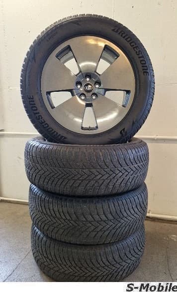 Audi E-Tron Q8 Original Winterräder 19"