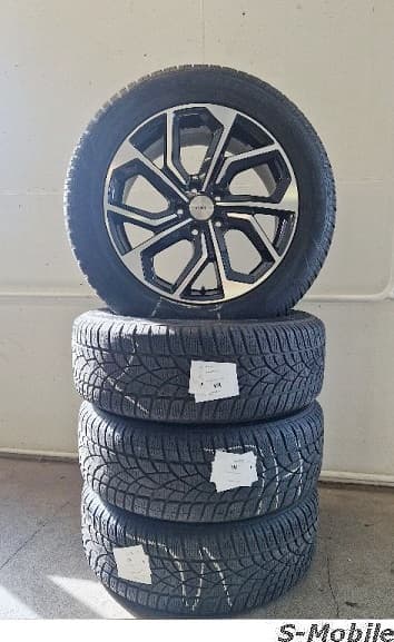 Cupra Formentor Gamaparts Winterräder 18"