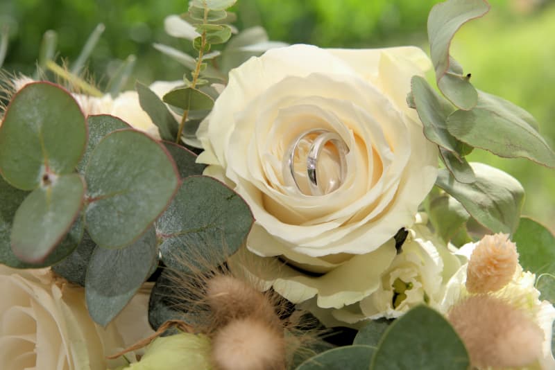 Hochzeitsfotograf Luzern Aargau Zürich