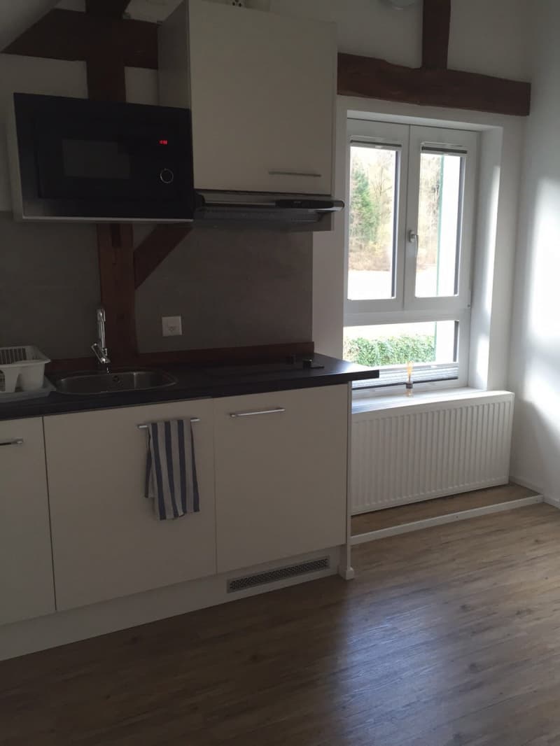 Dachwohnung möbliert