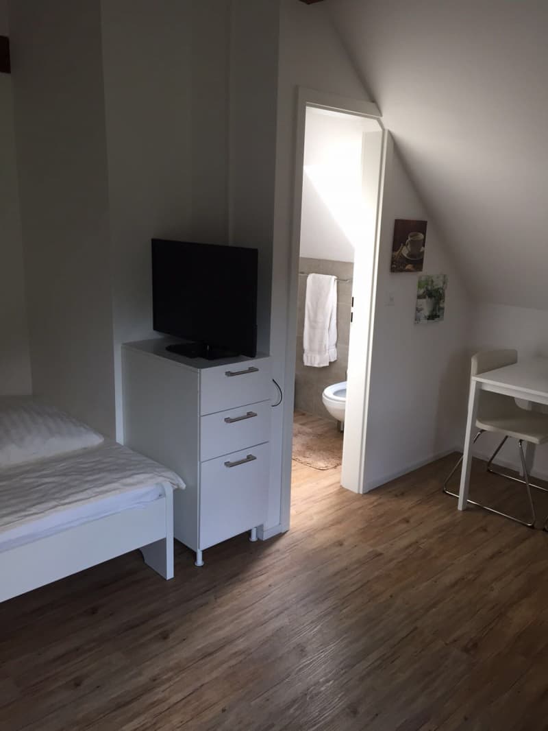 Dachwohnung möbliert
