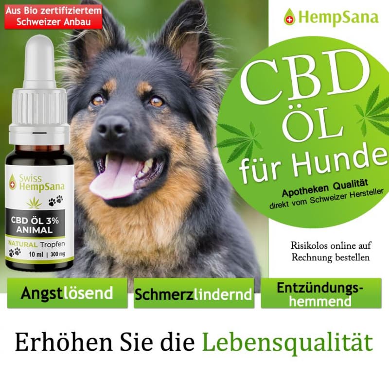 Hempsana CBD Öl für Ihren Vierbeiner