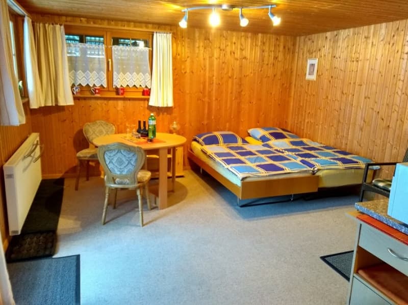 1-Zimmer Wohnung/Studio