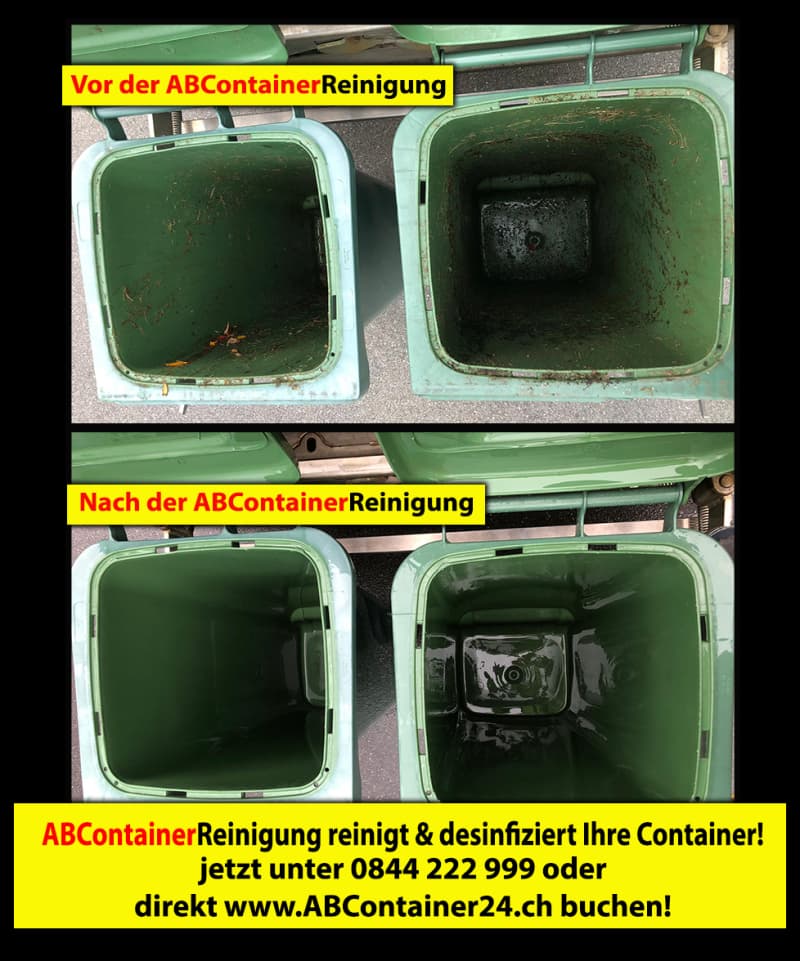 Containerreinigung Pratteln Basel Liestal Reinach Münchenstein