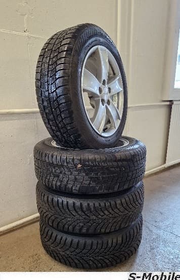 Skoda Fabia / Seat Ibiza Gamaparts Winterräder 15"
