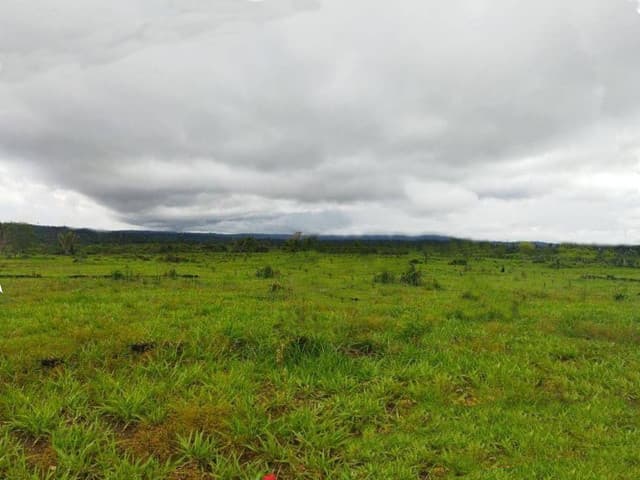 Brasilien 85.9 HA Rinderfarm Grundstück in der Nähe von Careiro A