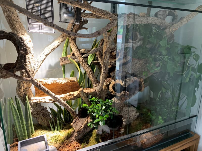 Glas-Terrarium 150x50x120cm (LxBxH) zu verkaufen