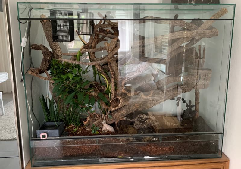 Glas-Terrarium 150x50x120cm (LxBxH) zu verkaufen