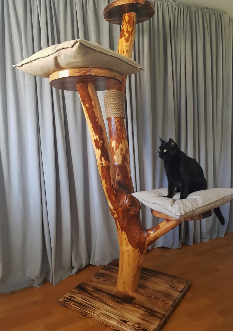Massiver Erlenholz Kratzbaum, Handmade! XXL, NEU!