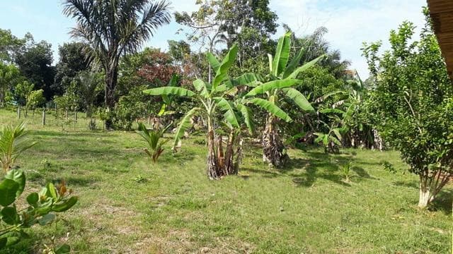 Brasilien 16Ha grosses Tiefpreis Grundstück Region Manaus AM