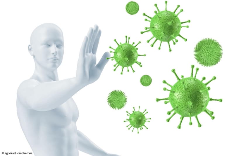Neben oder Haupt Einkommen!