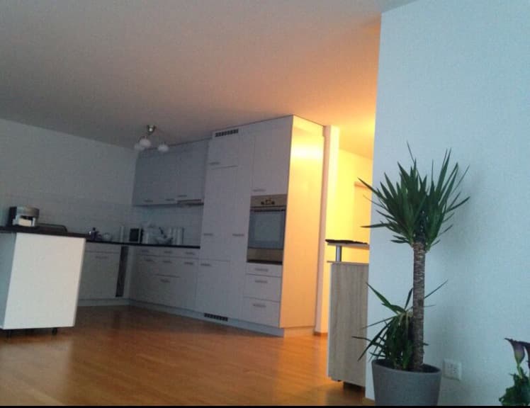 Helle, moderne Wohnung mit See- und Bergsicht