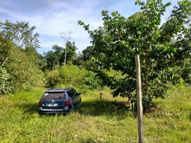 Brasilien Millionär werden mit Landkauf!