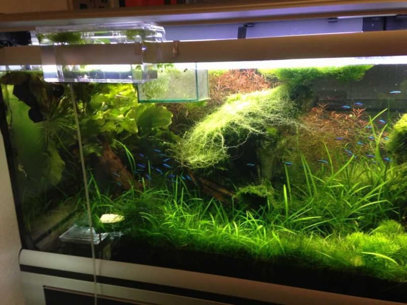 Unterschrank inkl. Glas Aquarium Star200 von ferplast.com
