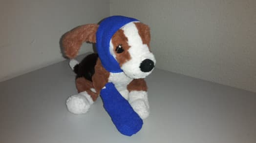 Nothelferkurs für Hundehalter