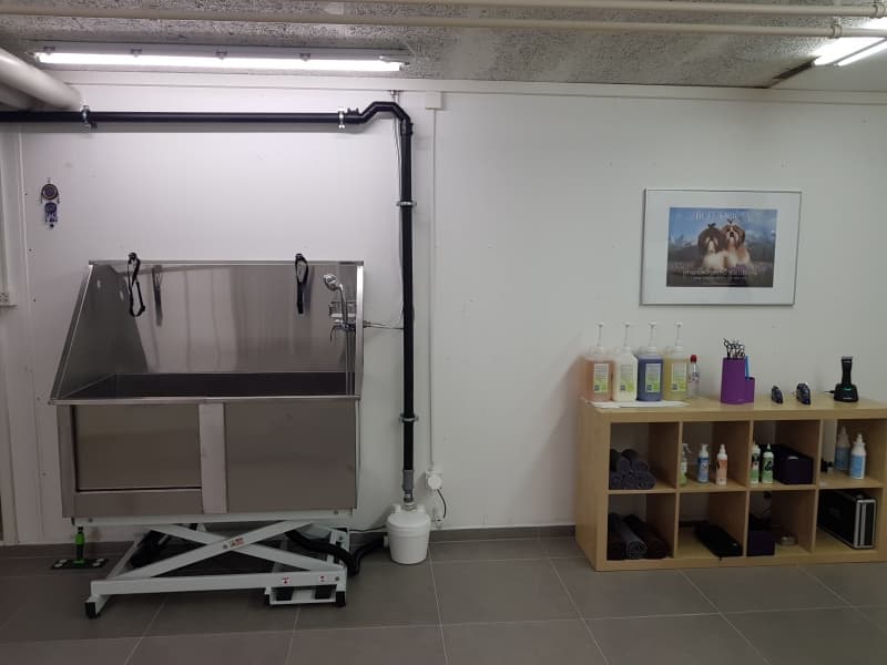 Hundepflege im Hundesalon (W)Hunde(r)schön