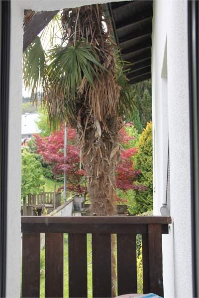 2 1/5 Zimmer Wohnung in Horgen