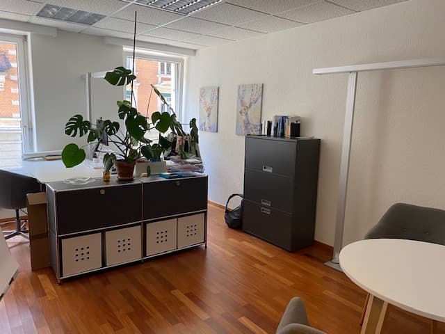 Co-Working - 2er Büro nähe Hallwylplatz und Stauffacher