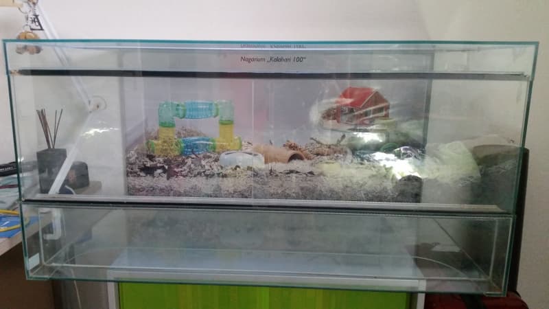 Terrarium zu verkaufen 50/60/100