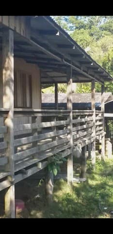 Brasilien 248 HA grosse Rinderfarm und Früchtefarm