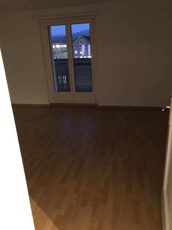 3 Zimmer Wohnung in Hochdorf zu vermieten (Hochparterre)