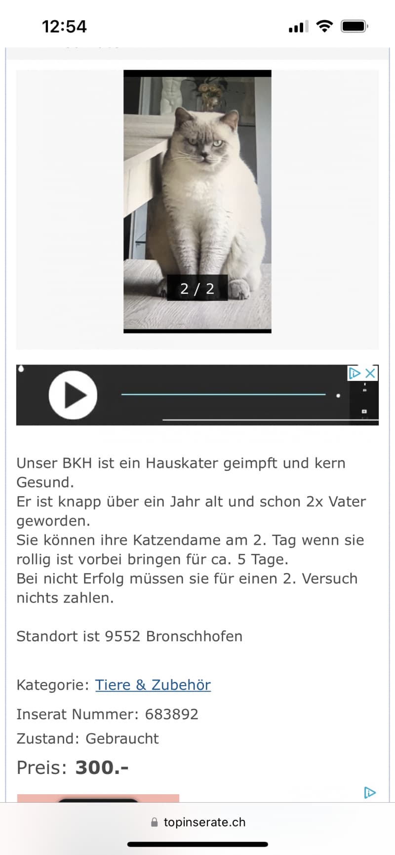 Deckkater Bounty aus Wil ist Betrug!!!