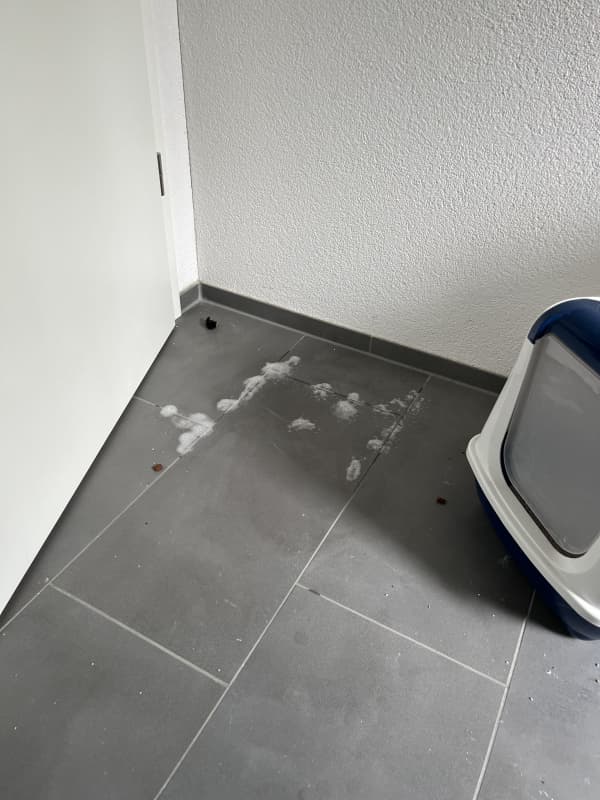 Deckkater Bounty aus Wil ist Betrug!!!