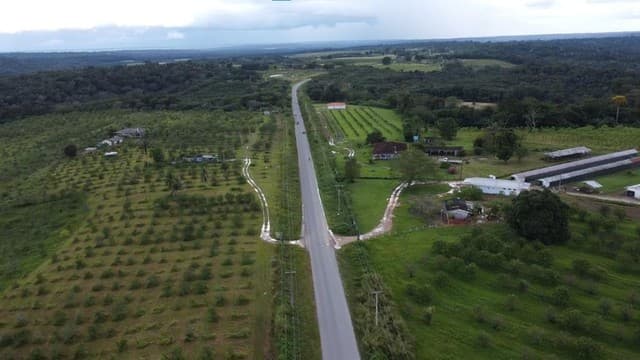 Brasilien 34 Ha grosse Orangenfarm Region Manaus AM