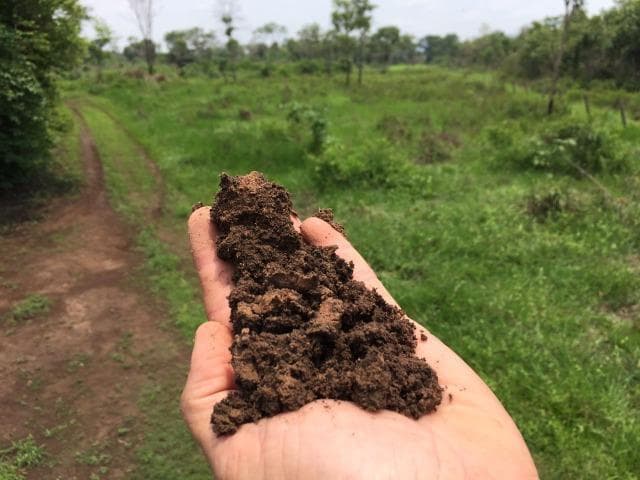 Brasilien 4'000 Ha grosses Tiefpreis - Grundstück in Para