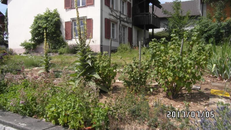 Für Hobbygärtner