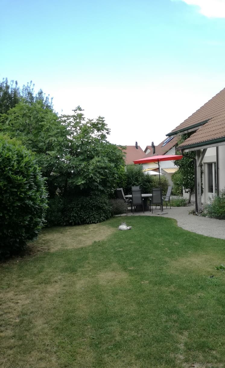 Vermietung Freistehendes Einfamilienhaus