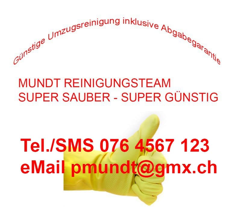 Professionelle Endreinigung mit Abnahmegarantie / gesamte Schweiz