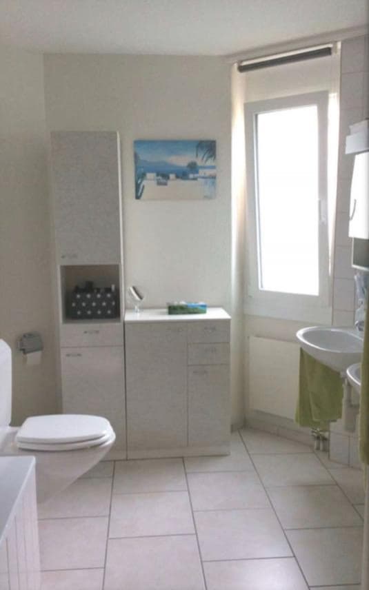 4 1/2 Zimmer Wohnung