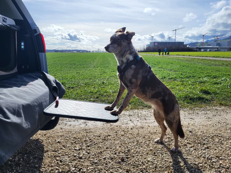 Ultraleichter Hunde Einstieg (HundeRampe)