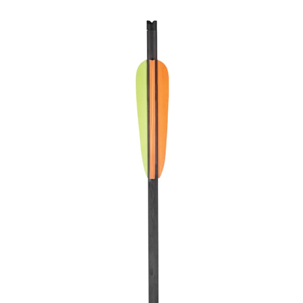 6 Carbonpfeile 20 Zoll