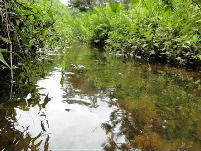 Brasilien 145'198 Ha grosses Grundstück mit Privatsee