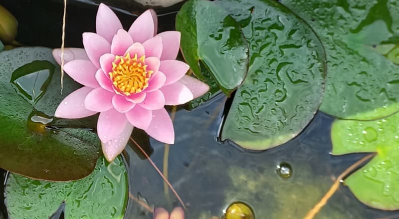 Feel the touch of silence