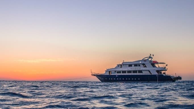 Tauchen im Roten Meer - Ägypten