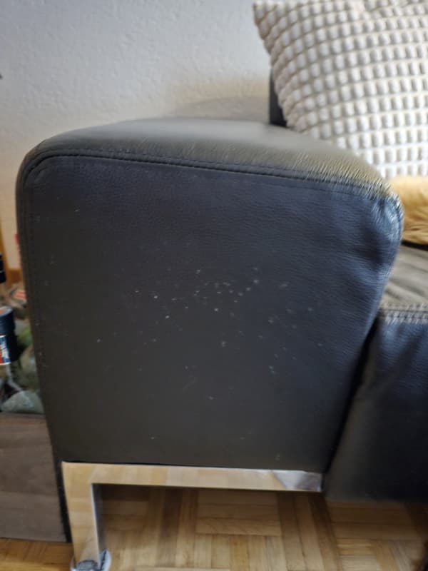 schönes echtleder 2er Sofa zu verkaufen